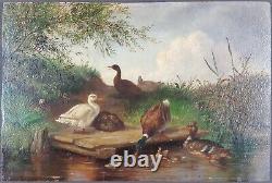 Ancien Tableau Canards Peinture Huile Antique Oil Painting Ducks Ölgemälde