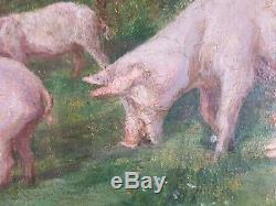 Ancien Tableau Cochons au Pré Peinture Huile Toile Antique Oil Painting