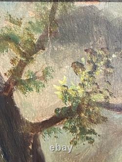 Ancien Tableau Huile sur Bois Femme en Forêt de Fontainebleau Barbizon 19ème