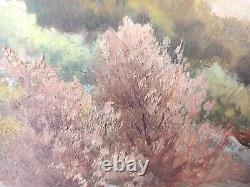 Ancien Tableau Montagne Sainte-Victoire Peinture Huile Antique Oil Painting