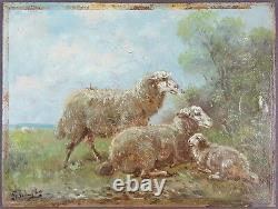 Ancien Tableau Moutons Peinture Huile Antique Oil Painting Dipinto Ölgemälde