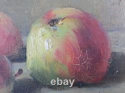 Ancien Tableau Nature Morte avec Pommes et Figues Peinture Huile Oil Painting
