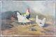 Ancien Tableau Poules et Coq Peinture Huile Antique Oil Painting Hens Rooster