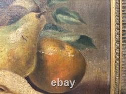 Ancien Tableau huile Sur Toile Nature morte aux Fruits/signe Encadré /peinture