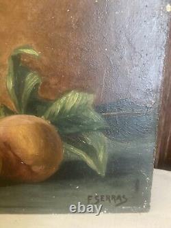 Duo de Tableaux Anciens peinture à l' huile Nature Morte Aux Fruits Époque 1900