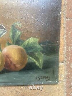 Duo de Tableaux Anciens peinture à l' huile Nature Morte Aux Fruits Époque 1900