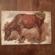 Huile Bois Tableau Ancien Portrait Vache