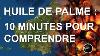 Huile De Palme 10 Minutes Pour Comprendre