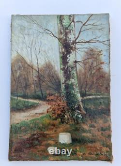 Huile sur toile 5P XIX paysage de forêt XIX arbre bouleau signé tableau ancien