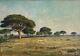 J. B Eliche, Paysage Pins Parasols à Hyères Dans Le Var, huile tableau ancien