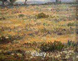 J. B Eliche, Paysage Pins Parasols à Hyères Dans Le Var, huile tableau ancien
