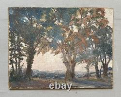 Paysage arboré, huile sur toile, tableau ancien, peinture