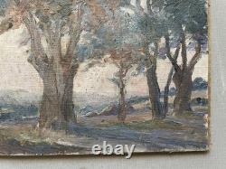 Paysage arboré, huile sur toile, tableau ancien, peinture