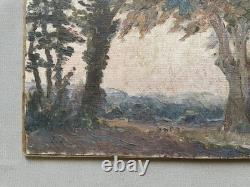 Paysage arboré, huile sur toile, tableau ancien, peinture