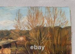 Prairie aux environs d'Antibes, huile sur carton, tableau ancien, peinture, 1892
