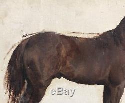 Tableau Ancien Huile Esquisse Portrait De Cheval Pierre Gavarni (1846-1932)
