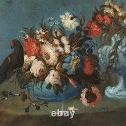 Tableau Ancien Nature Morte et Perroquet Huile sur Toile'800 Original