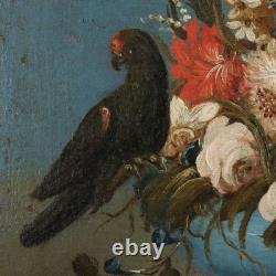 Tableau Ancien Nature Morte et Perroquet Huile sur Toile'800 Original