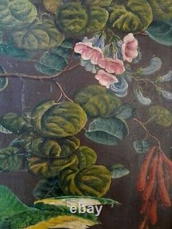 Tableau ancien OISEAUX et FLEURS jungle animalier botanique art naif Rousseau