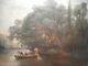 Tableau ancien XIX 19 siècle Albert F LAURENS peinture pecheur bord rivière