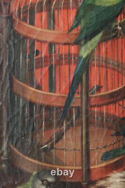 Tableau ancien cage aux oiseaux perruches perroquet chat Serres