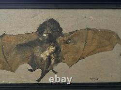 Tableau ancien huile, Portrait D'une Chauves-souris 1961