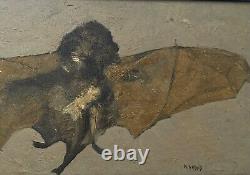 Tableau ancien huile, Portrait D'une Chauves-souris 1961