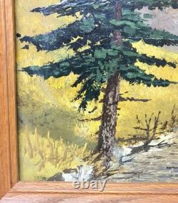 Tableau ancien huile paysage alpin Berghof années 1960 1970 cadre bois