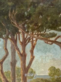Tableau ancien huile paysage sentier bord de mer pinède Vincent Manago