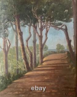 Tableau ancien huile paysage sentier bord de mer pinède Vincent Manago