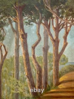 Tableau ancien huile paysage sentier bord de mer pinède Vincent Manago