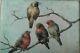 Tableau ancien huile sur panneau les 4 oiseaux Honoré Camos 1906-1991