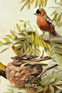 Tableau ancien les oiseaux et leur nid sur un cerisier époque XIXème animalier