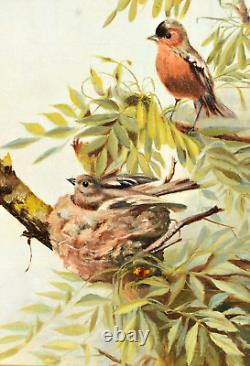 Tableau ancien les oiseaux et leur nid sur un cerisier époque XIXème animalier
