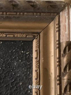 Tableau ancien peinture portrait animalier Ara feuillage houx art deco