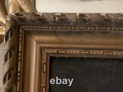 Tableau ancien peinture portrait animalier Ara feuillage houx art deco