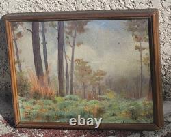 Tableau ancien signé. Paysage Sous Bois. Peinture huile sur panneau D'isorel
