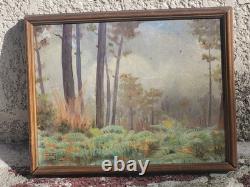 Tableau ancien signé. Paysage Sous Bois. Peinture huile sur panneau D'isorel