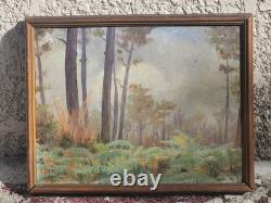 Tableau ancien signé. Paysage Sous Bois. Peinture huile sur panneau D'isorel