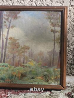 Tableau ancien signé. Paysage Sous Bois. Peinture huile sur panneau D'isorel