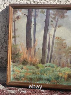 Tableau ancien signé. Paysage Sous Bois. Peinture huile sur panneau D'isorel
