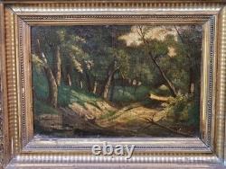 Tableau ancien signé. Paysage Sous Bois. Peinture huile sur panneau de bois