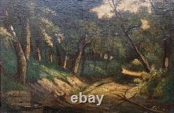 Tableau ancien signé. Paysage Sous Bois. Peinture huile sur panneau de bois