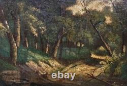 Tableau ancien signé. Paysage Sous Bois. Peinture huile sur panneau de bois