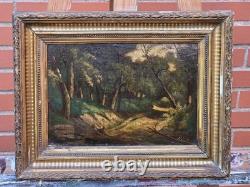 Tableau ancien signé. Paysage Sous Bois. Peinture huile sur panneau de bois