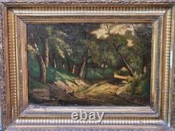 Tableau ancien signé. Paysage Sous Bois. Peinture huile sur panneau de bois