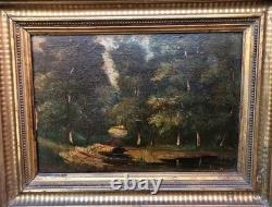 Tableau ancien signé. Paysage Sous Bois. Peinture huile sur panneau de bois