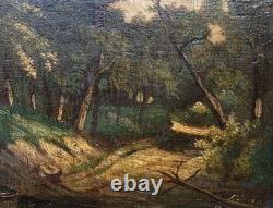 Tableau ancien signé. Paysage Sous Bois. Peinture huile sur panneau de bois