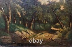 Tableau ancien signé. Paysage Sous Bois. Peinture huile sur panneau de bois