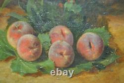 Tableau peinture ancienne nature morte aux fruits fruit pèche Robbe